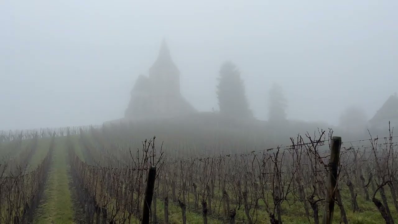 Foggy ASMR Walk in Hunawihr, Alsace 🇫🇷 | Quiet Vineyards & Winter Silence (Part 2)