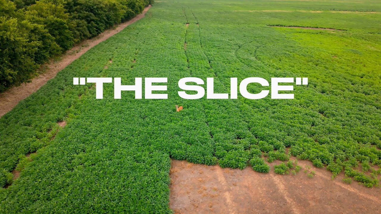 Mark Buys His First 40 Acres | Welcome to 