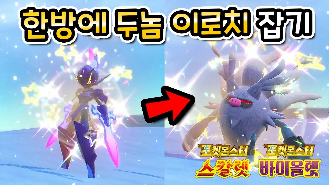 이로치 잘 나오는 장소가 있다?!