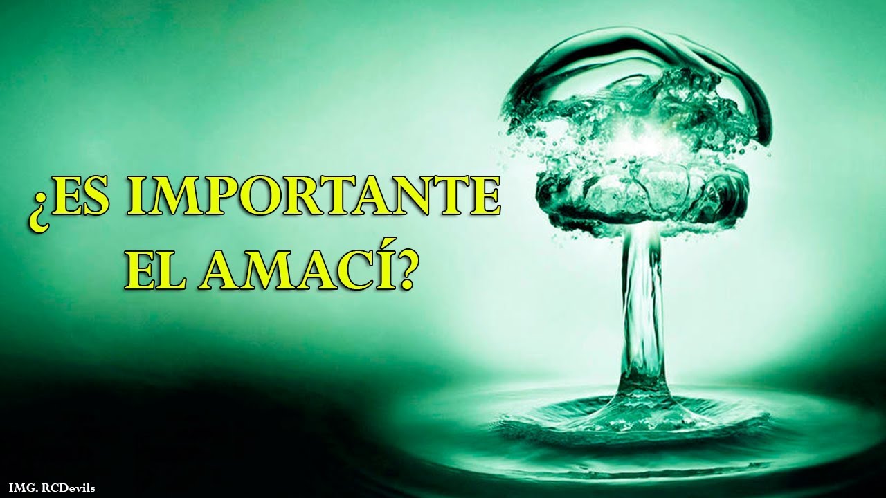 ES IMPORTANTE EL AMACÍ? QUE ES EL AMACÍ? - Introduciendo el concepto