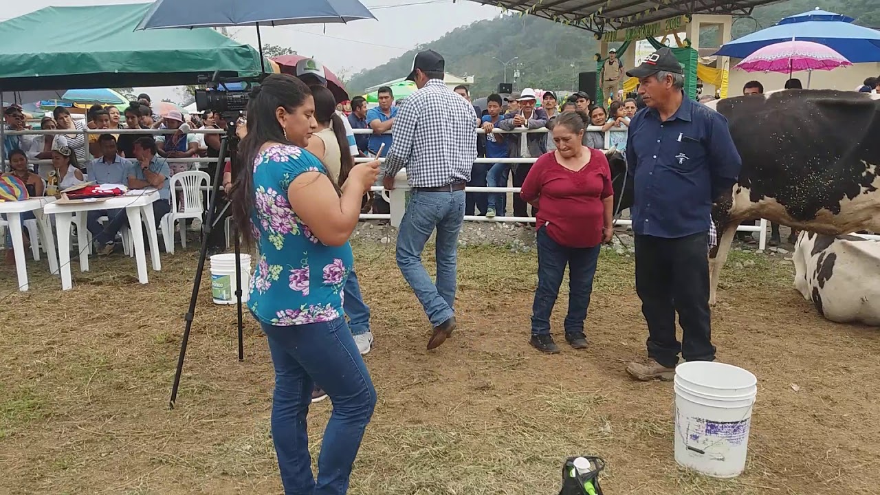 En la FERIA GANADERA DE GUALAQUIZA (10-08-2019)(2)