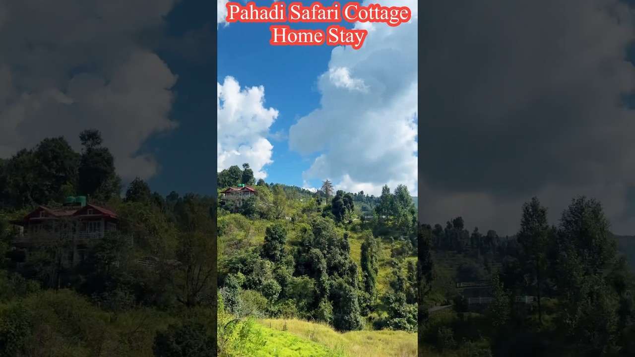 Pahadi Safari Cottage,A Premium Home Stay,Mukteshwar #pahadisafaari #homestay #viral