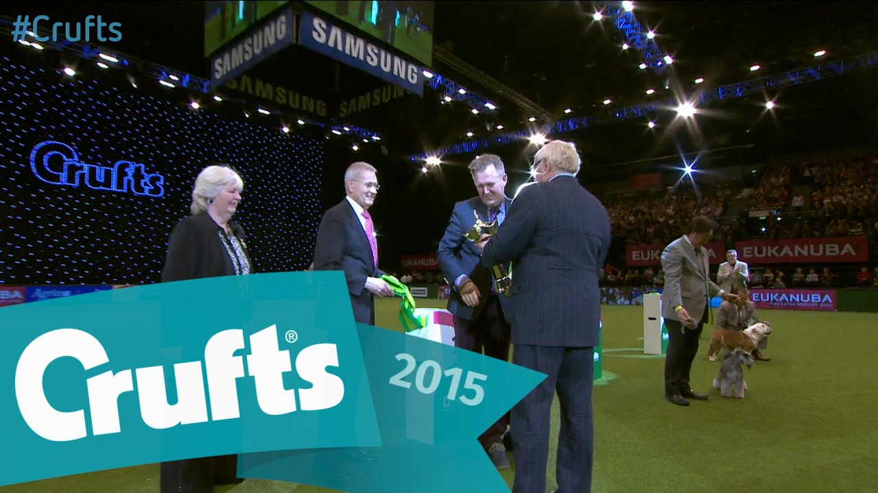 Utility Group Presentation and Winner's Interview | Crufts 2015