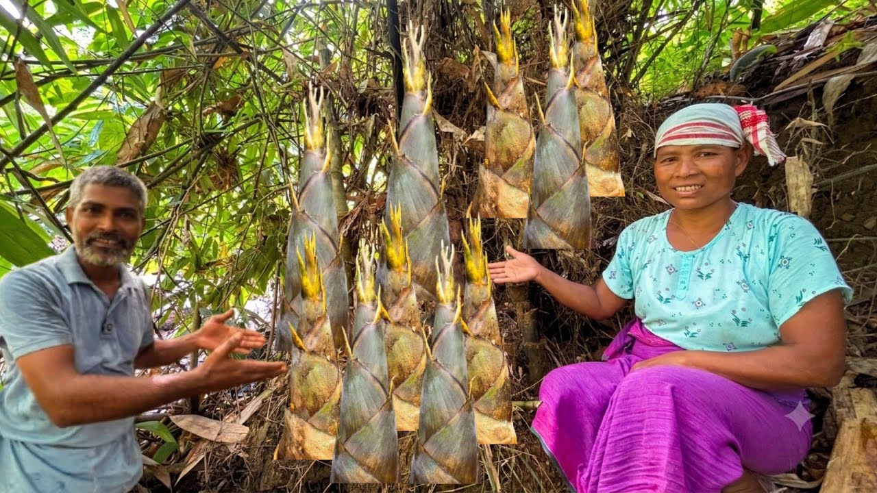Brought Bamboo Shoot from the Jungle And Sold Long Beans | Village Life