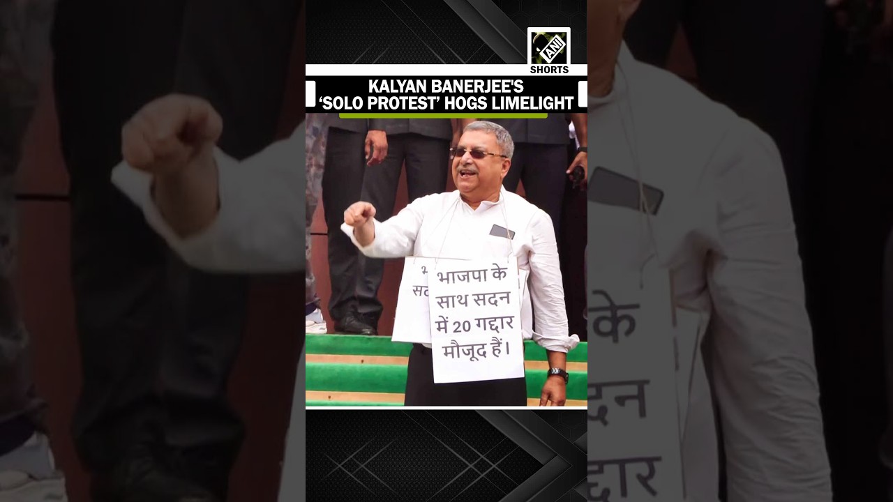Kalyan Banerjee's &lsquo;solo protest&rsquo; outside parliament on paper leak issue hogs Limelight