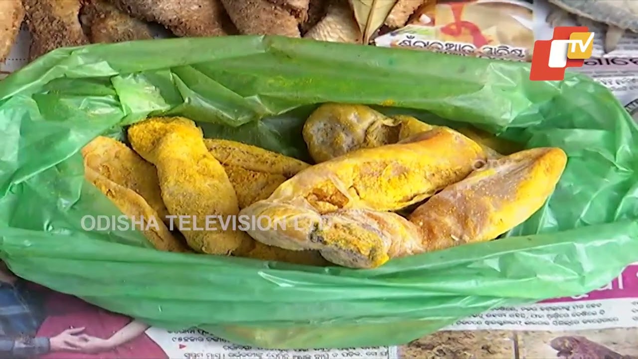From ilish to prawns : Know the different types dry fish available at Bali Yatra