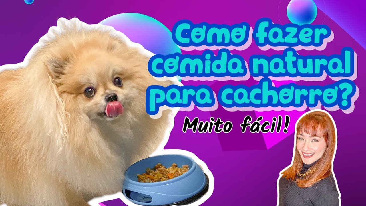 COMO FAZER COMIDA NATURAL PARA CACHORRO EM CASA