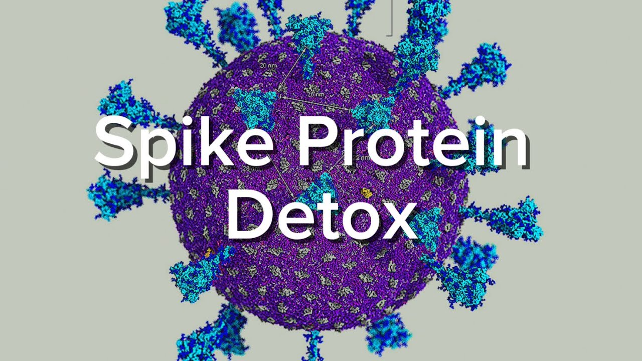 Spike Protein Detox Methods