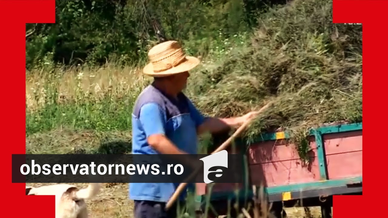Cel mai mic sat din Rom&acirc;nia, ascuns printre munți.
