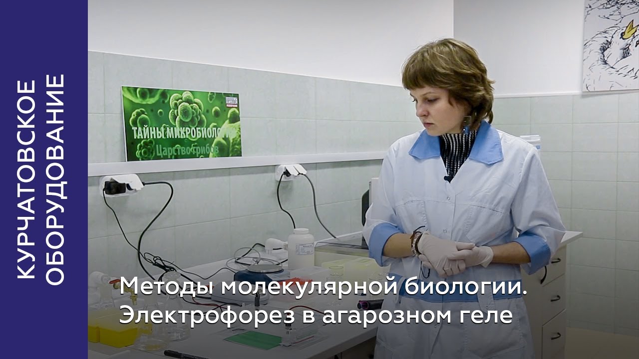 Методы молекулярной биологии. Электрофорез в агарозном геле