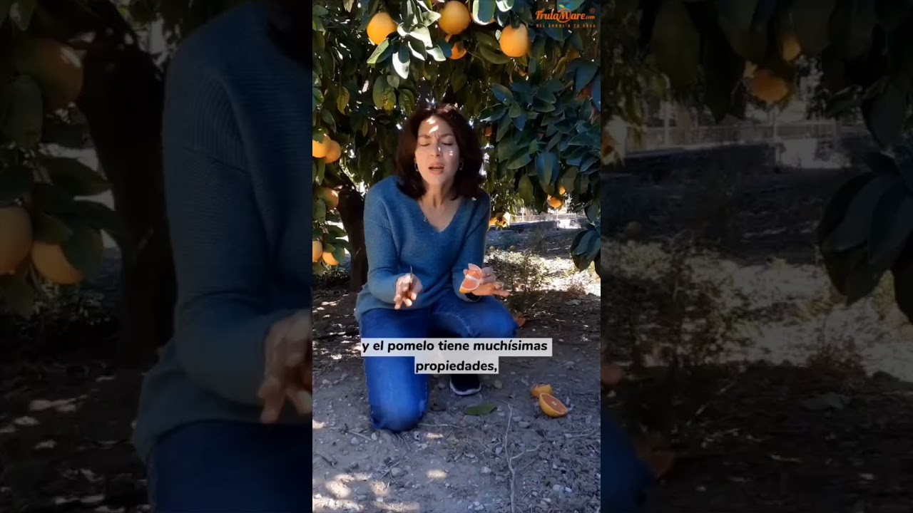 😋 &iquest;Conoces los POMELOS RUBI? 😋