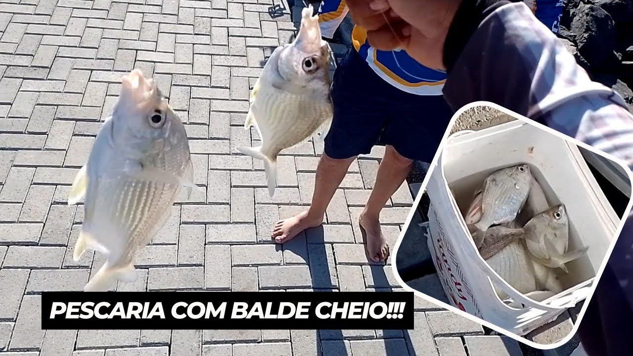 PESCARIA COM BALDE CHEIO, FOI MUITA AÇÃO DE CARAPEBA E CIÓBA - PESCA DE PRAIA