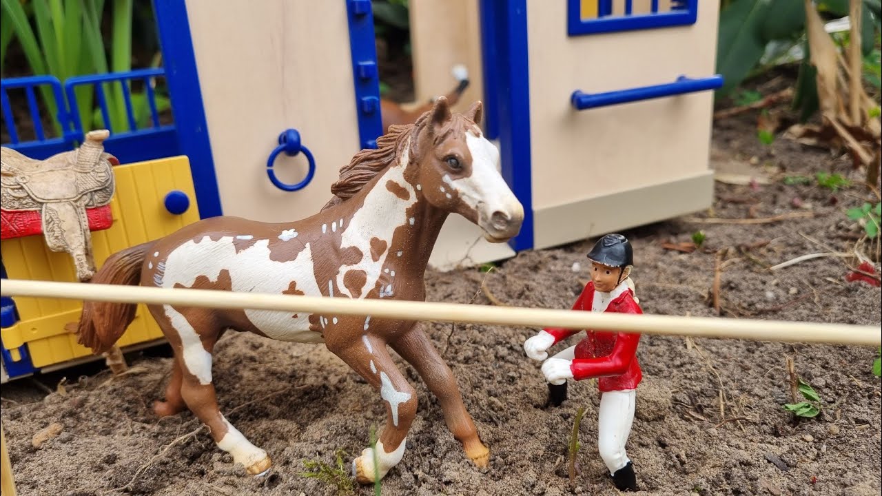 Wildpferd Toronto in Gefahr- Kurzfilm🐎🌬🌺✨️Schleich|| TEIL 1🌸💖