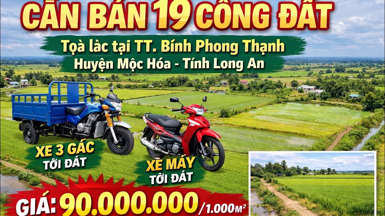 BÁN GẤP 19 CÔNG ĐẤT Bình Phong Thạnh | Đường Đi Dễ | Giá Chỉ 90tr/1.000m²