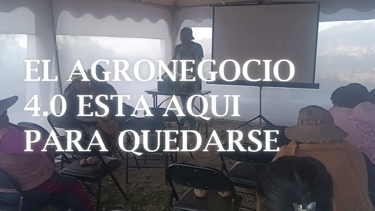Actualizacion 2025 ORKIDEA ANDINA
