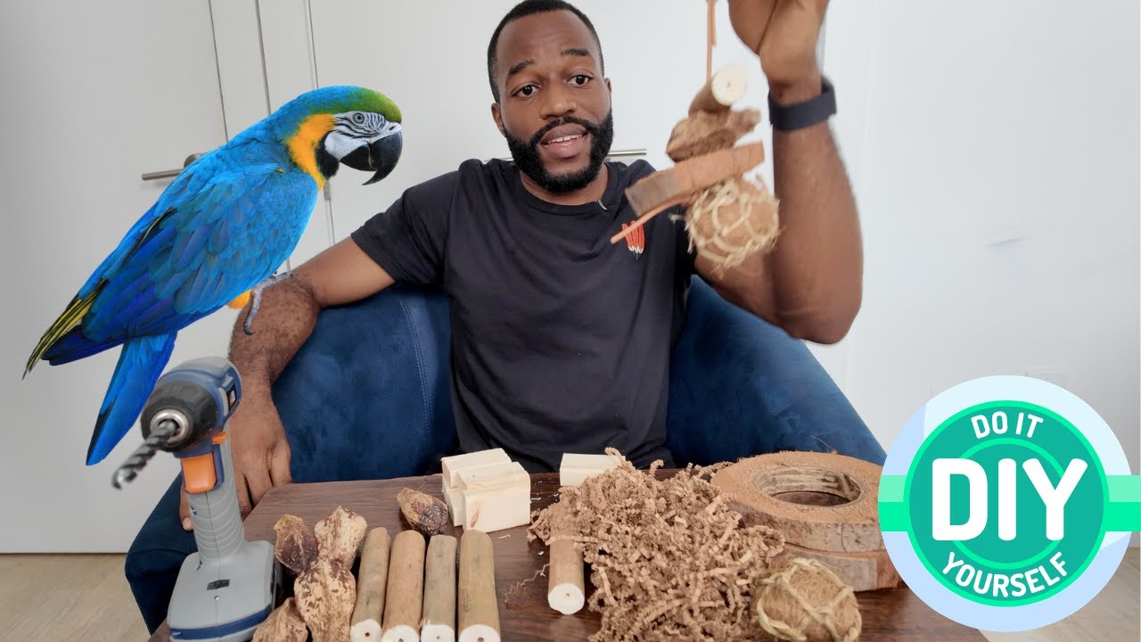 DON'T Buy Parrot TOYS! | DIY Enrichment