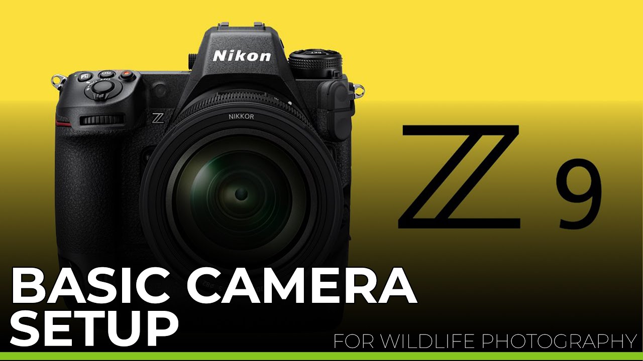 Nikon Z9 BASIC Camera SETUP for WILDLIFE Photography