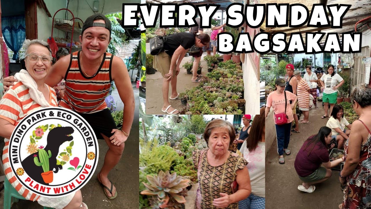 EVERY SUNDAY BAGSAKAN NG MURANG HALAMAN SA MINI DINO PARK & ECO GARDEN