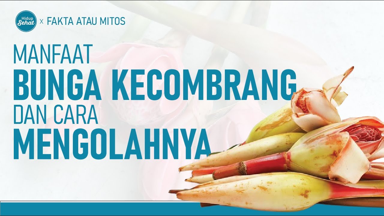 Benarkah Bunga Kecombrang dapat Mengatasi Kanker? | Hidup Sehat tvOne