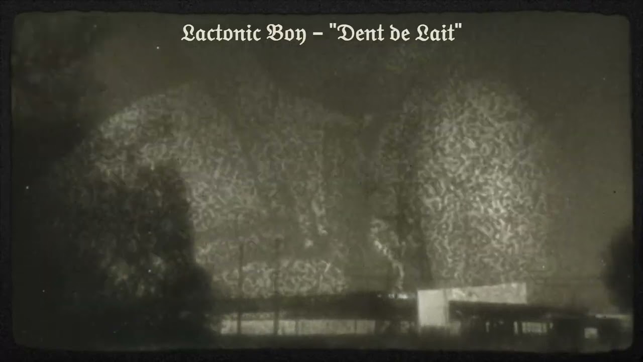 Lactonic Boy - Dent de Lait (Official Visualizer)