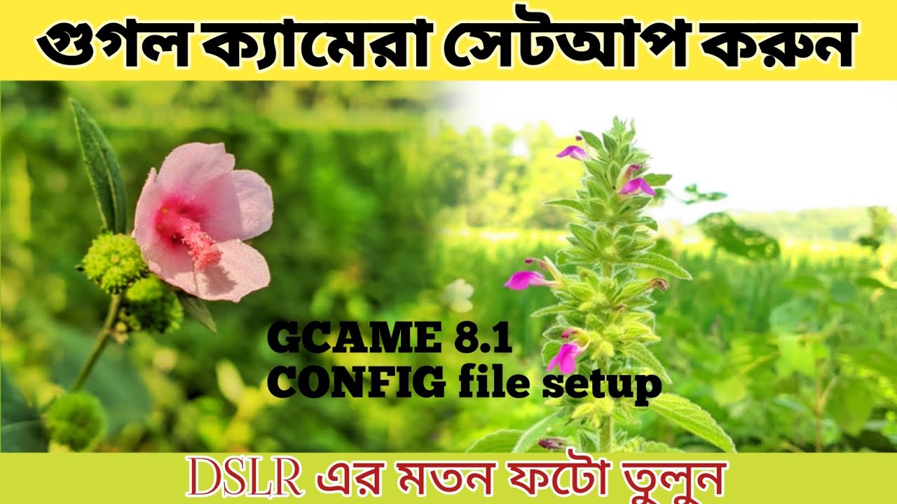 GOOGLE CAMERA 8.1 SET-UP AND CONFIG FILE