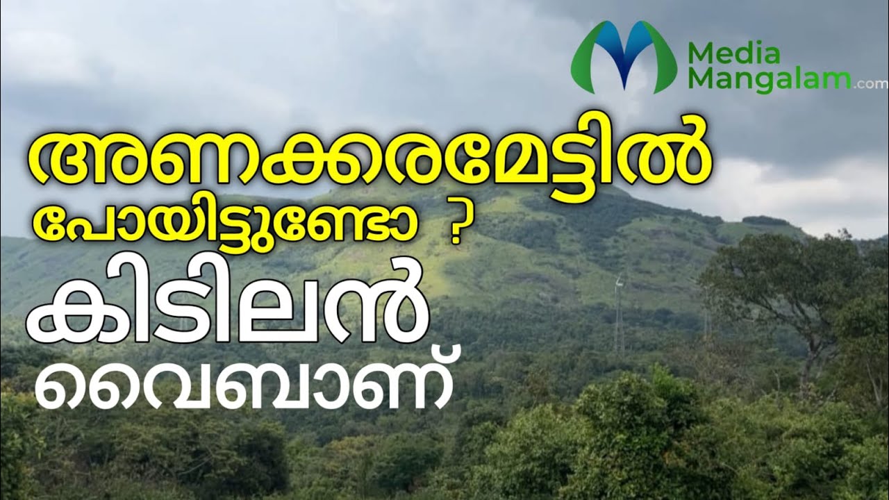 പച്ച പുതച്ച മലനിരകളും അവിടേക്ക് ഊർന്നിറങ്ങുന്ന കോടമഞ്ഞുമായി അണക്കരമേട്ട്  | Anakkaramettu | Idukki