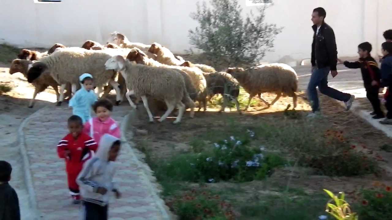 العيد في قرية الأطفال س و س أكودة - تونس