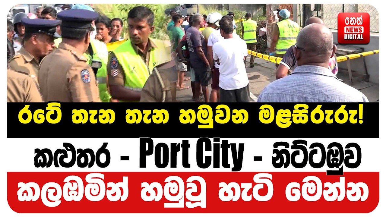 රටේ තැන තැන හමුවන මළසිරුරු!