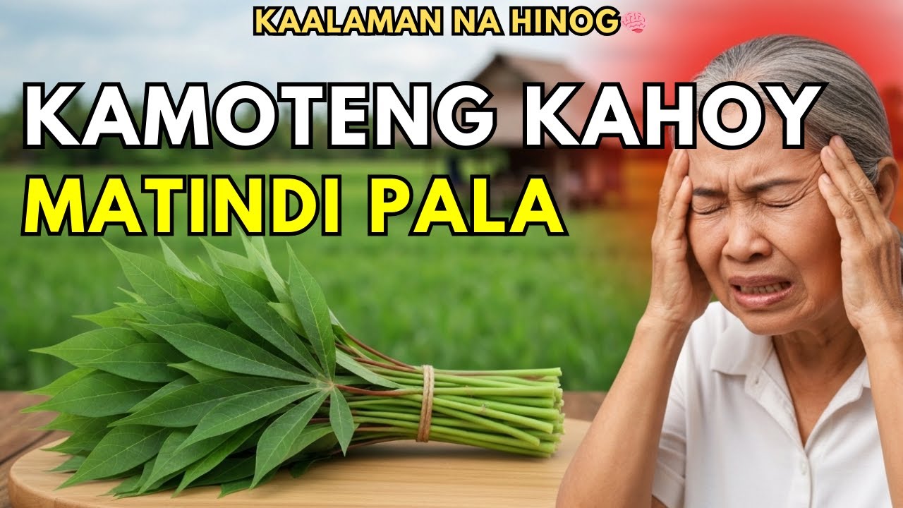 Alamin ang 10 Himalang Benepisyo ng Talbos ng Kamoteng-Kahoy!