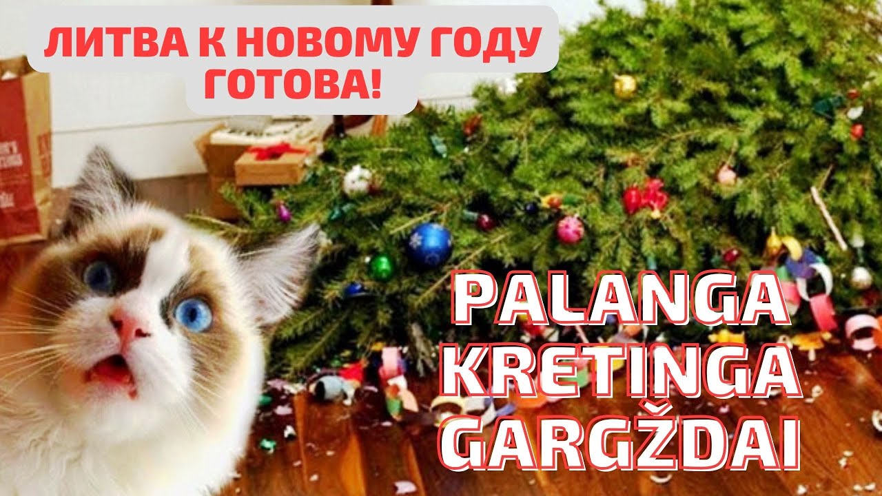 Palanga, Gargždai и Kretinga настроены на праздники! ЛИТВА.