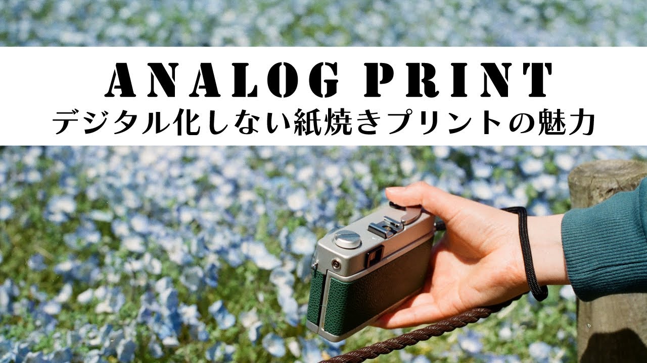 【フィルム】デジタル化しない紙焼きプリントの魅力！ホンモノのプリントを現代に機械とともにつづけるアナログプリント