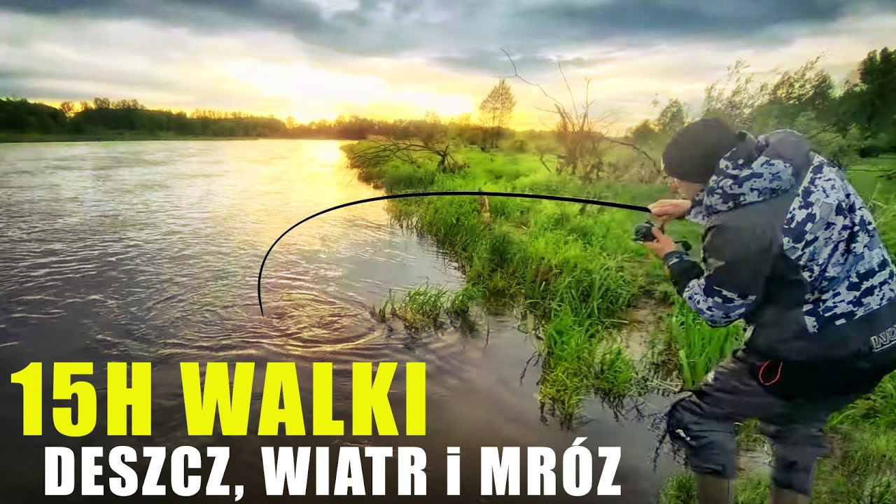 Rzeka Bug dla twardzieli: szczupak, sum, okoń, boleń