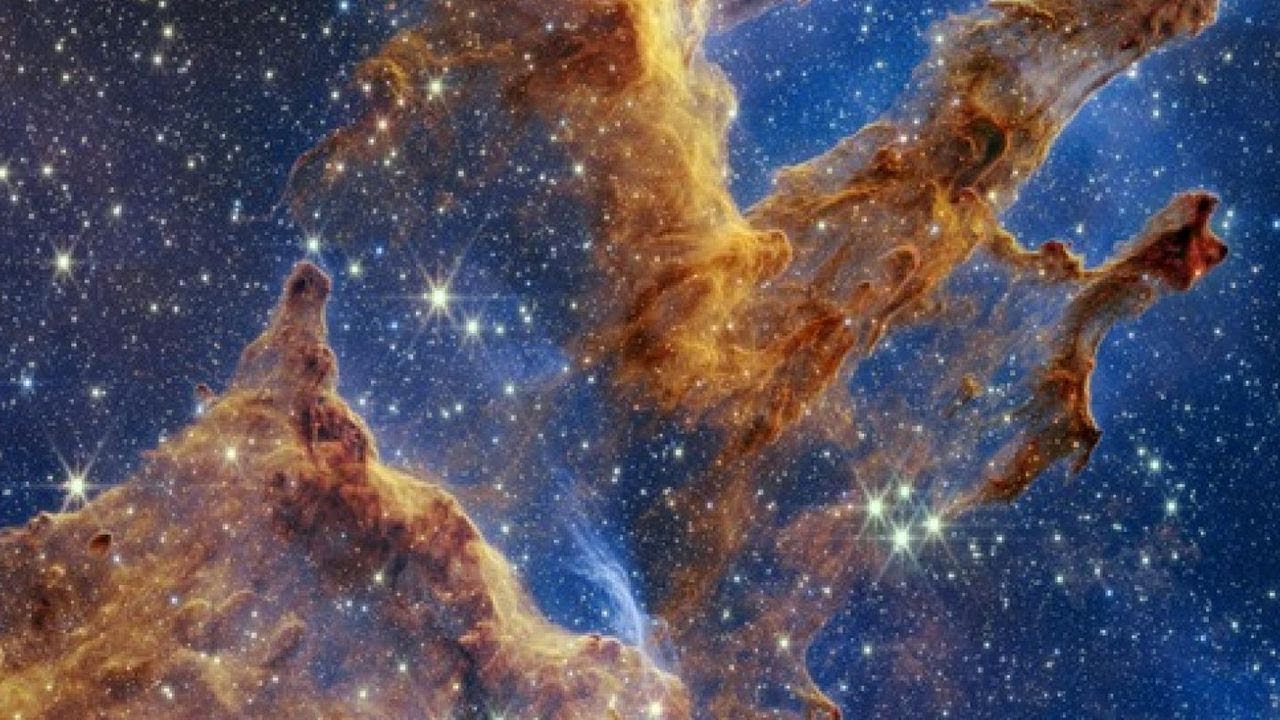 Les origines de l'humain | Débats a cœur de la science