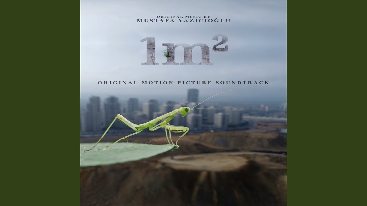 The Game Of The Nature