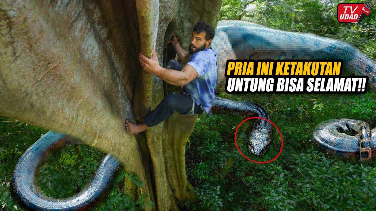 Gempar!! Seorang Pria Dikejar Ular Terbesar di Dunia di Hutan Amazon. Ternyata Masih Hidup...