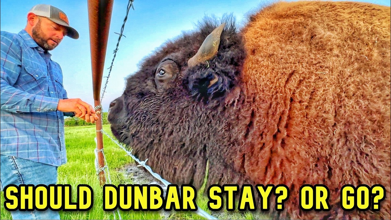Big Mommas | Should We Swap Dunbar!?