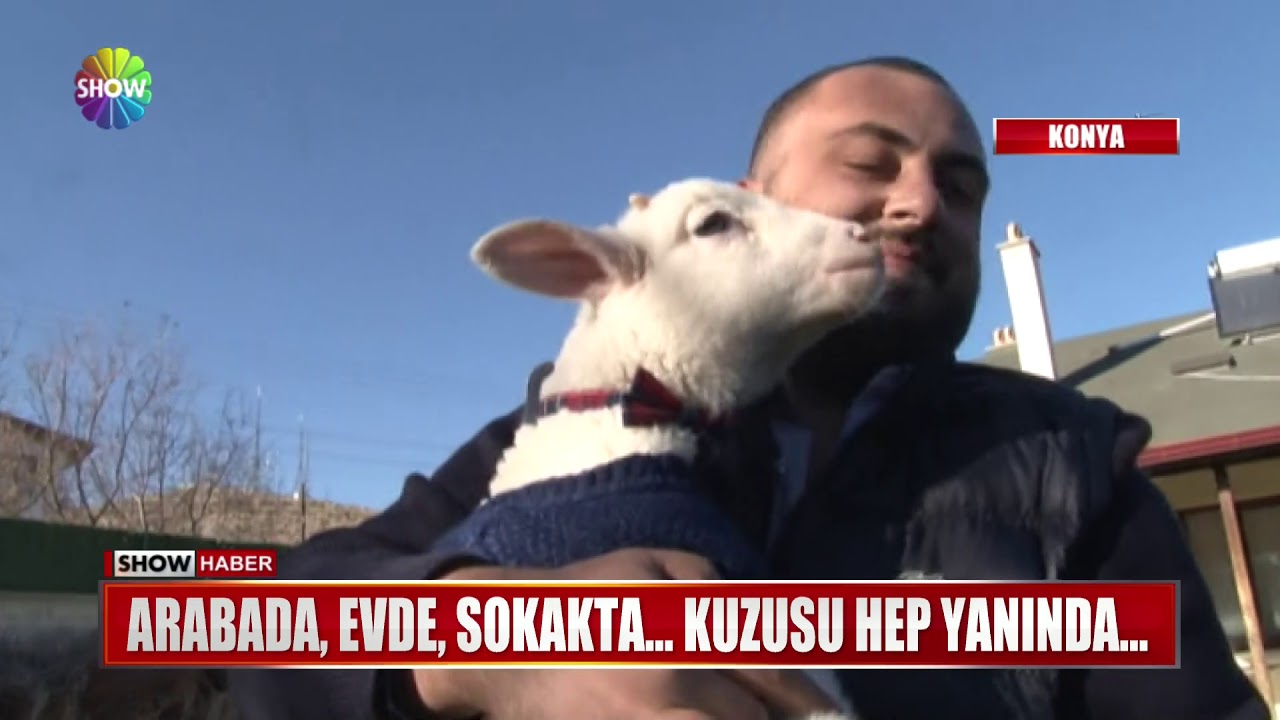 Arabada, evde, sokakta... Kuzusu hep yanında...