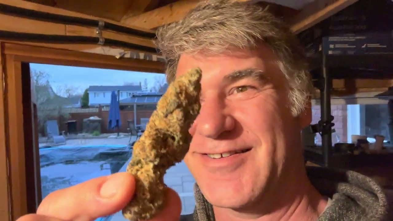 2023 04 20 The Shed! On 420 with Naked Mummer Cactus Breath 7g