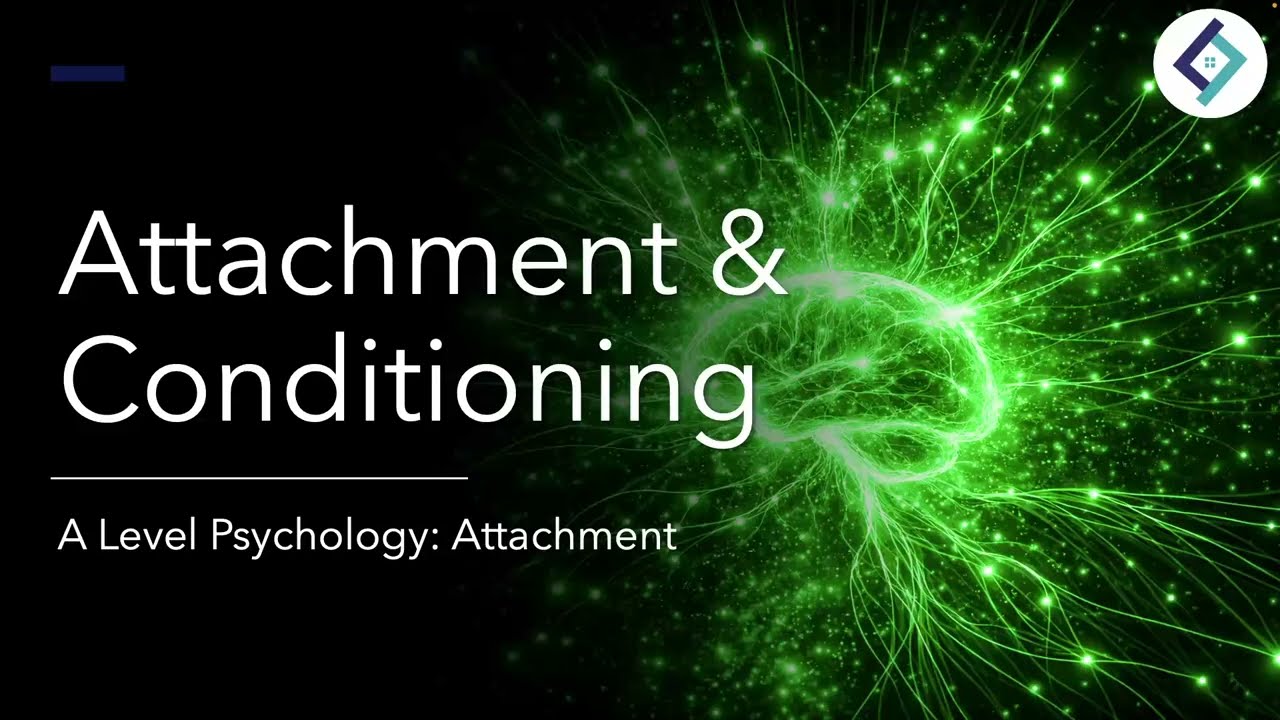 Привязанность и обусловливание | Привязанность | Психология уровня A-Level