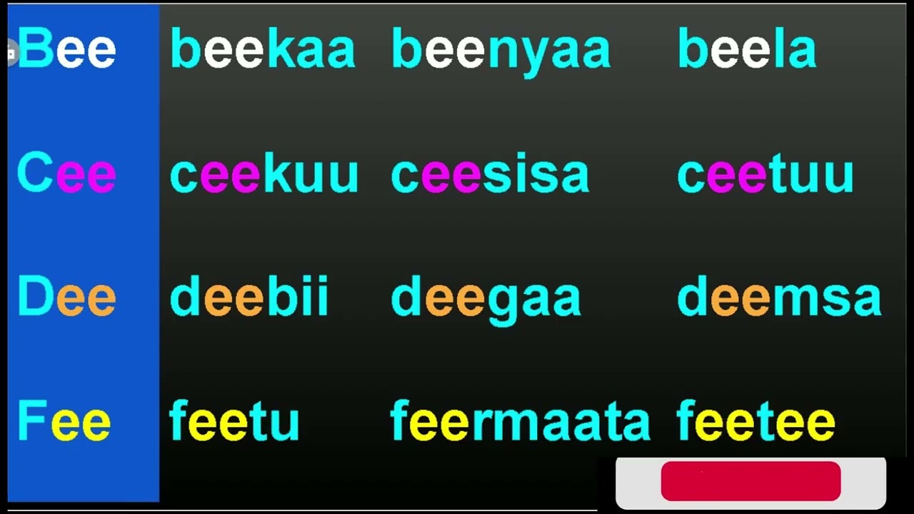 Sagalee qubee  dubbachiistuu ''EE'' || sound of EE in afan oromo