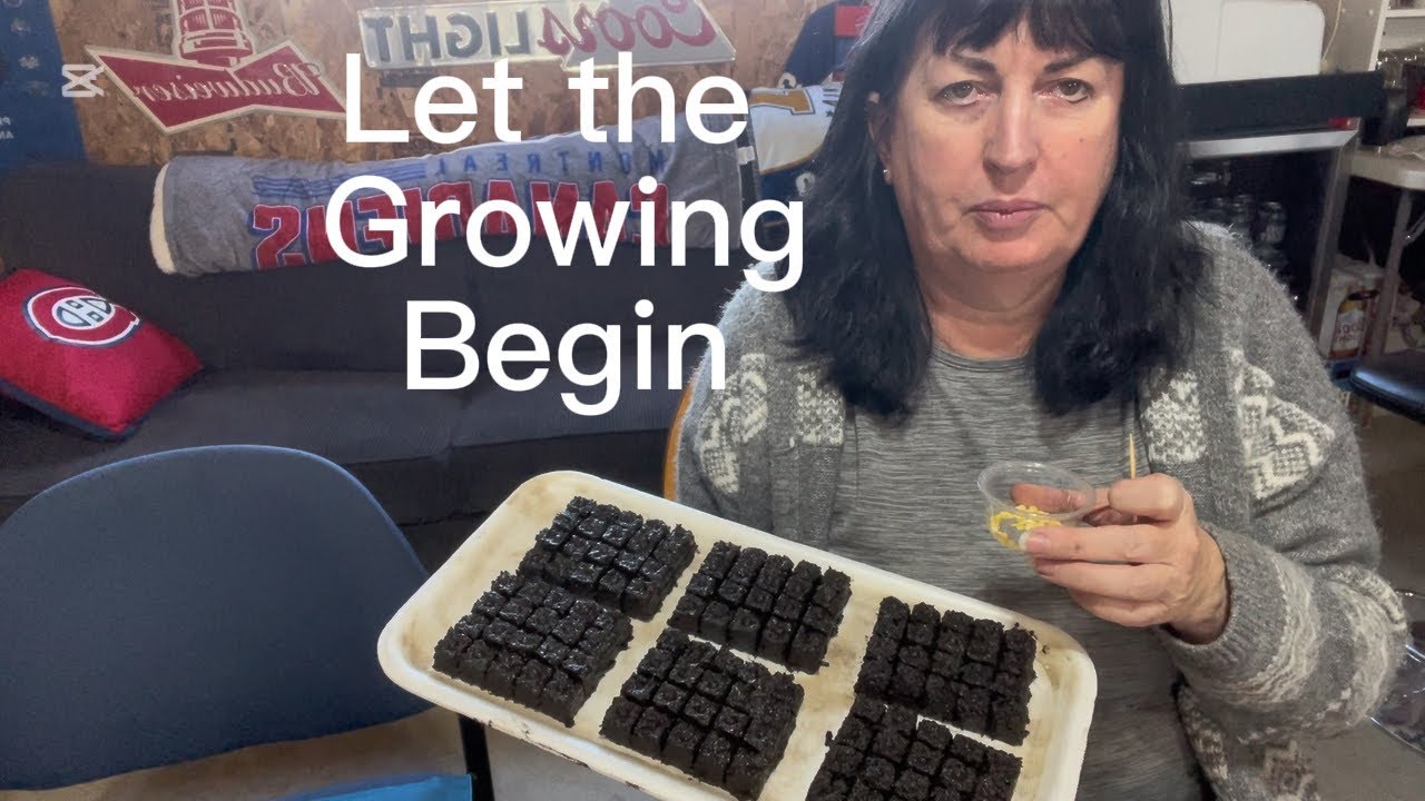 Let The Growing Begin