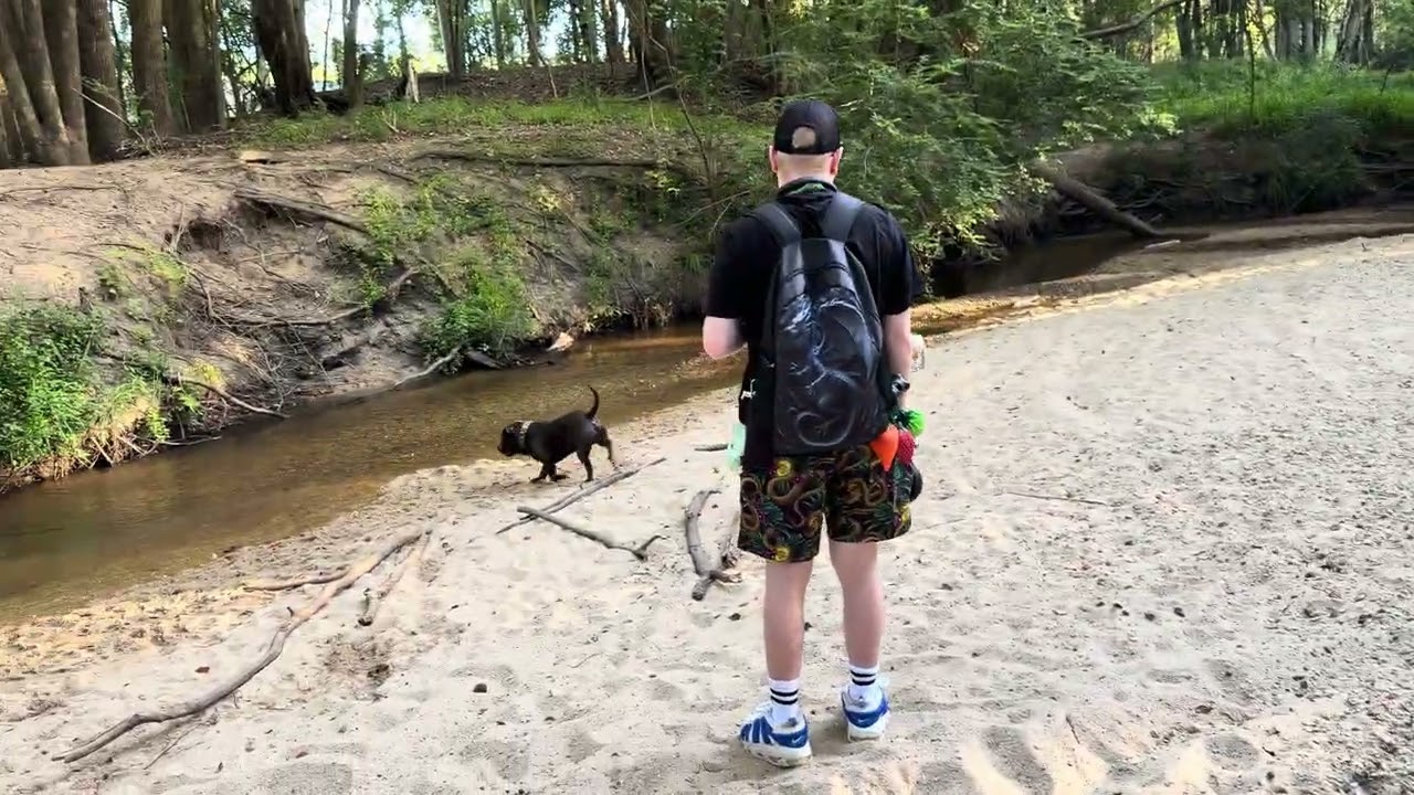 Stackpole part 1 🐾