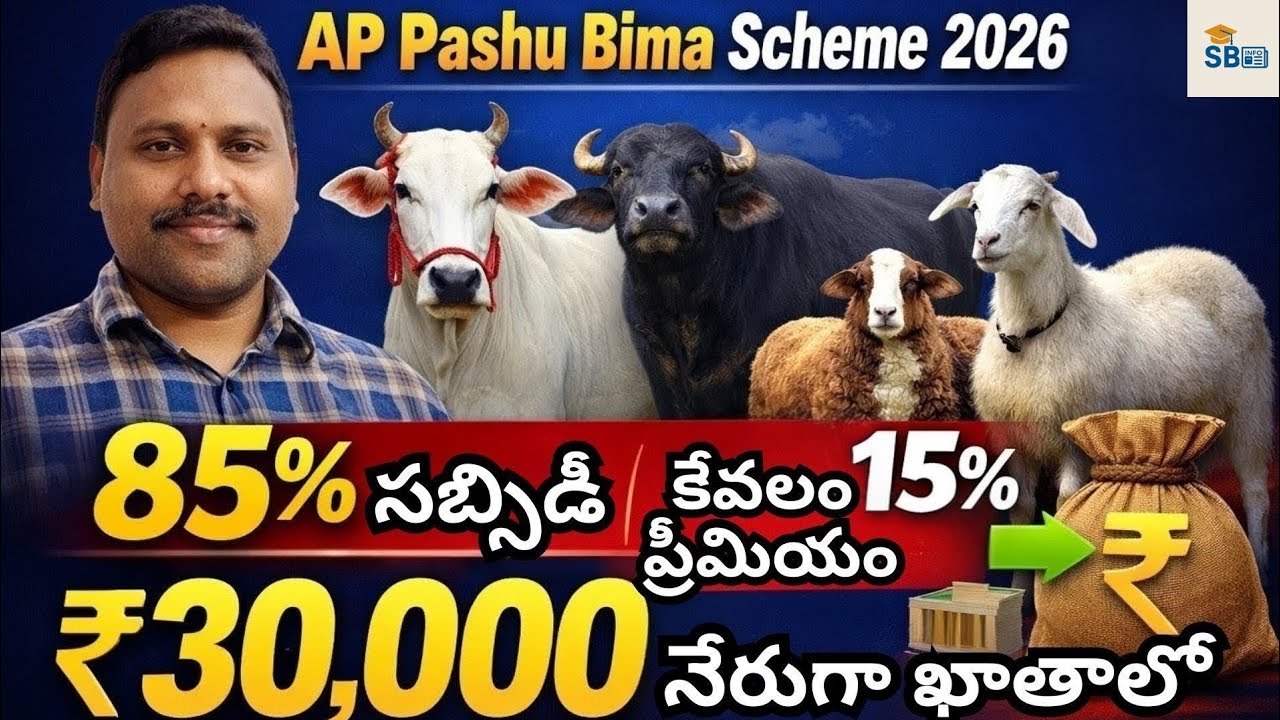 AP రైతులకు భారీ ఊరట Pashu Bima Scheme 2026 | 85% సబ్సిడీ | ₹30,000 నేరుగా ఖాతాలో