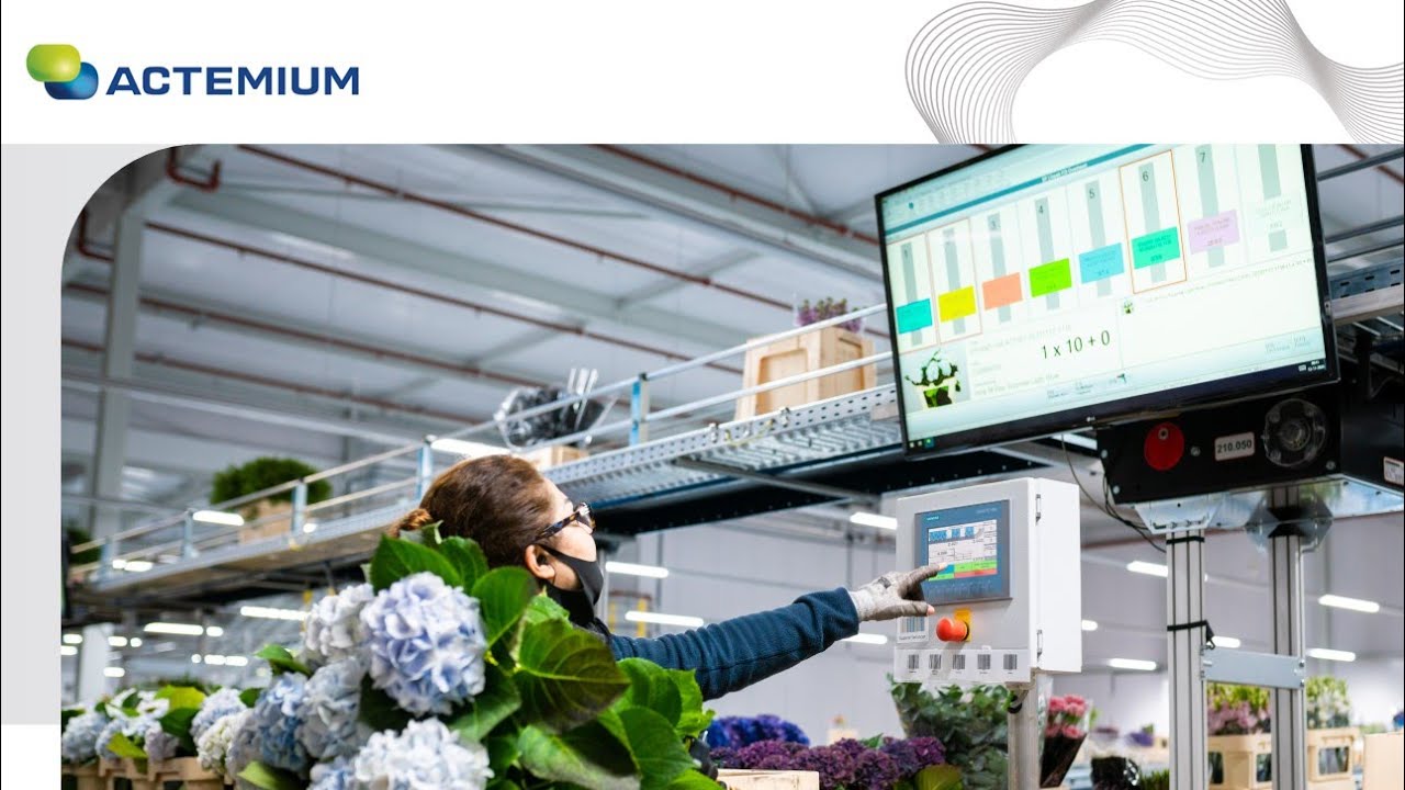 Hoek Group mechaniseert en integreert logistieke processen met WMS/WCS
