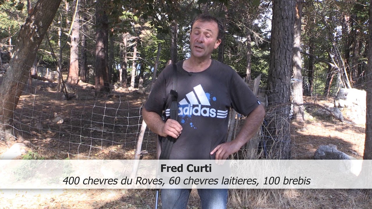 Episode 1  Entre chiens et loups: dans les bois
