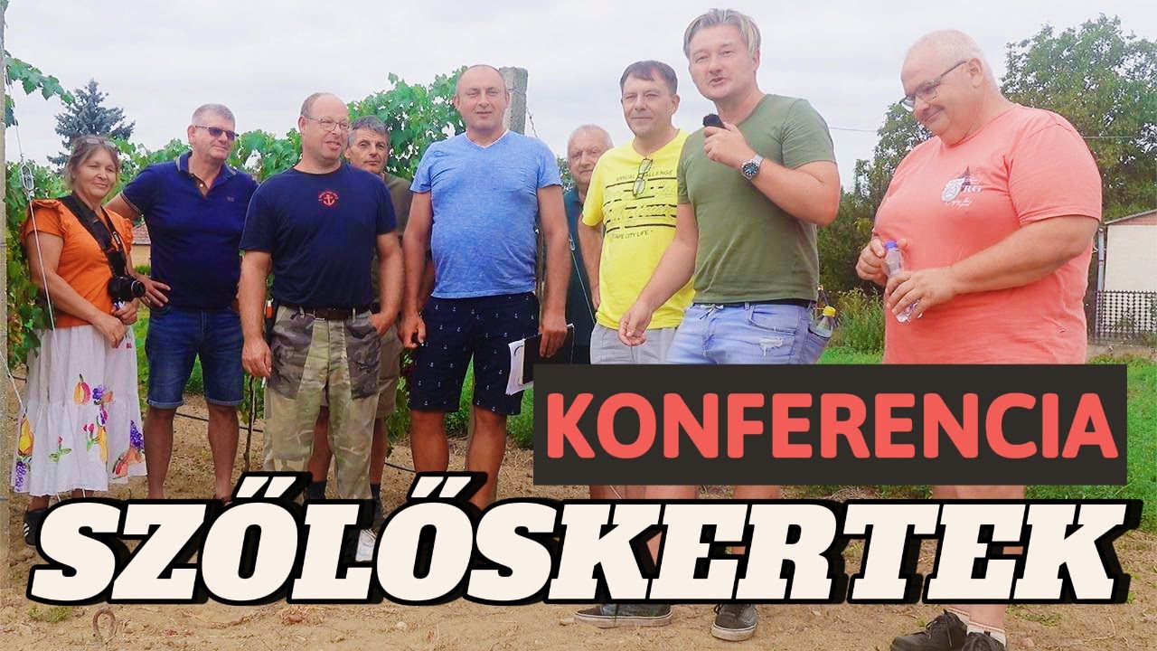SZŐLŐSKERTEK KONFERENCIA 😱🍇 Durva ízek, őszinte vélemények! #csemegeszőlő #szőlőskertek