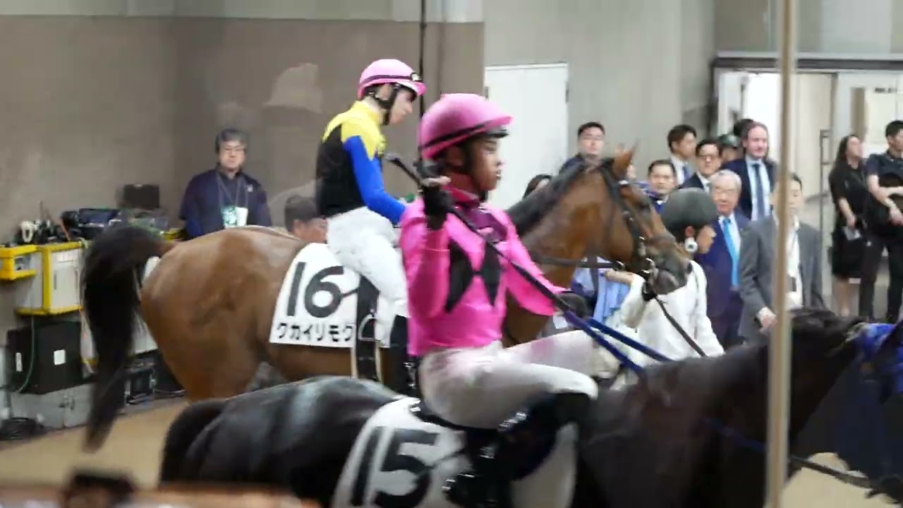 クカイリモク（堀宣行厩舎）&times;D・レーン騎手、レース後映像。　無事に未勝利戦突破。　#競馬　#東京競馬場 　#マカヒキ