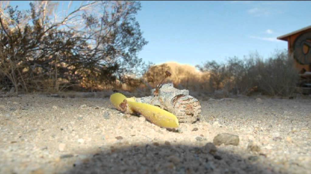 The Passage Episode 2: Forgotten Places