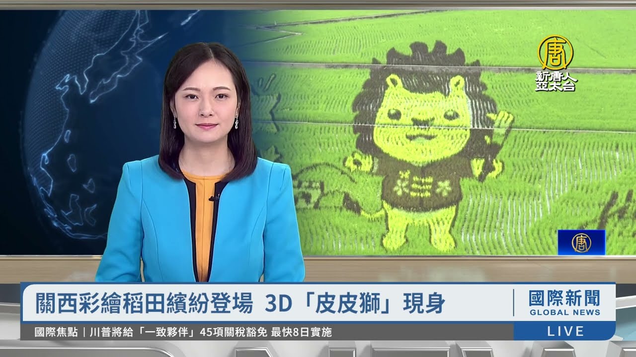 關西彩繪稻田繽紛登場 3D「皮皮獅」現身