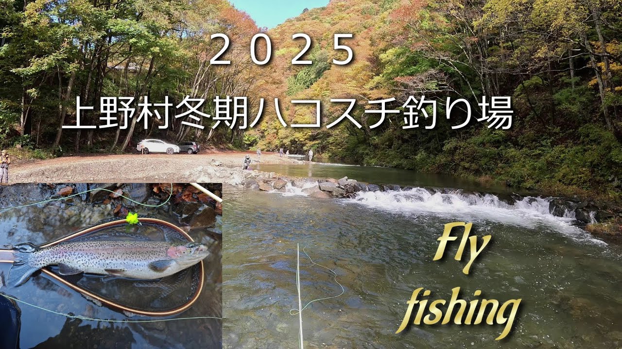 上野村冬期ハコスチ釣り場　圧倒的なパワーに翻弄される！　Flyfishing